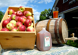 Maine Commercial & Agricultural Photography - Fresh Apple Cider