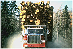 Maine Natural Resource Industries Photography - Logging Truck